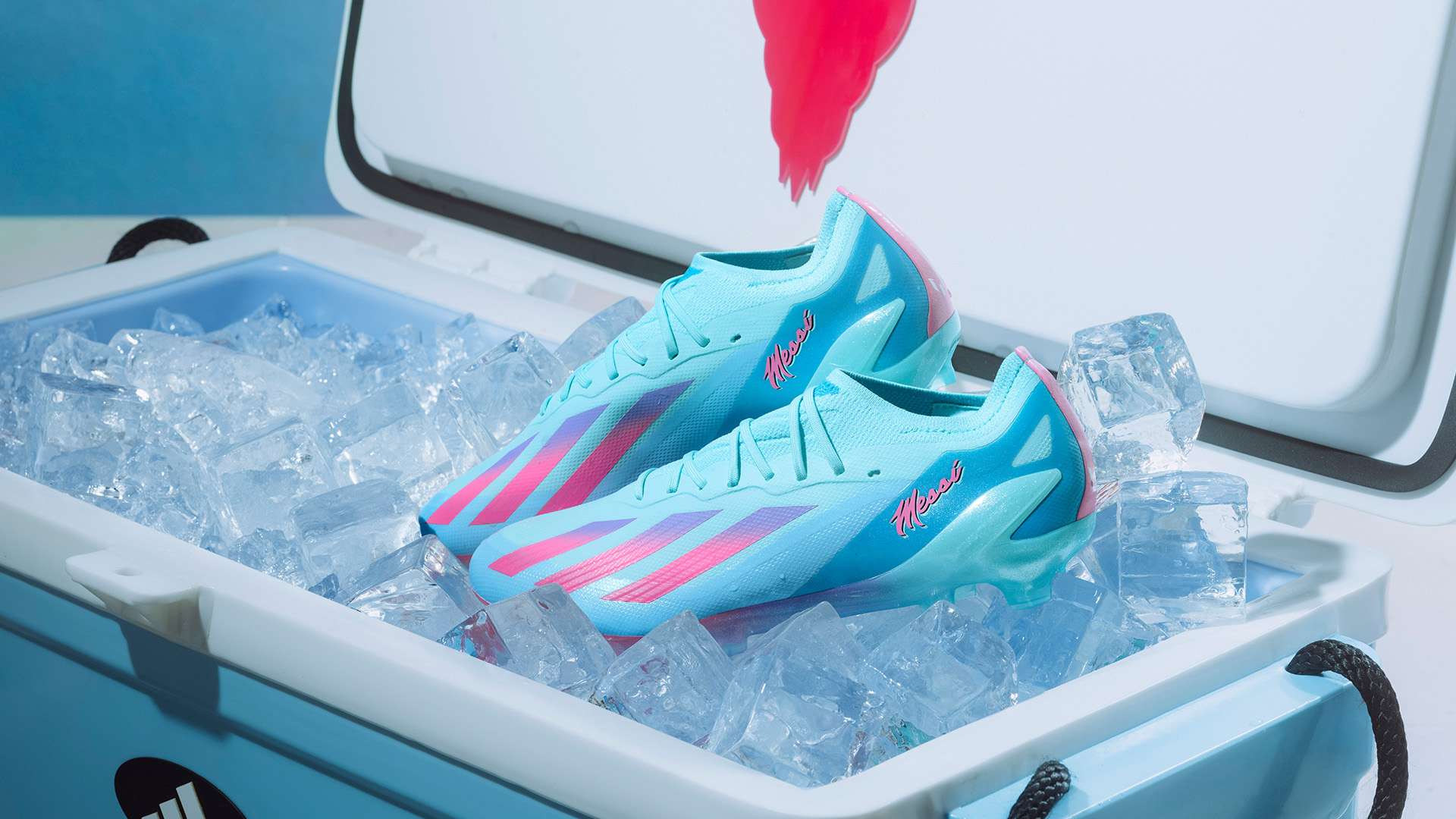 切洛蒂的执 切洛蒂的执